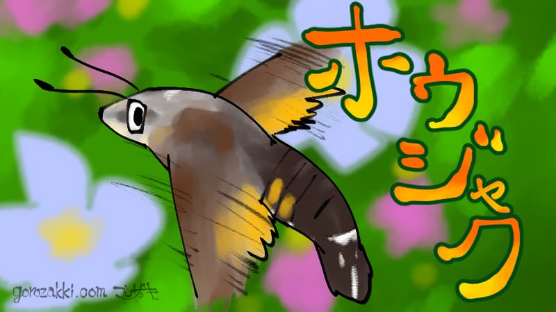 ホウジャク