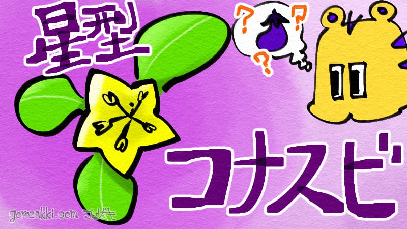 星形コナスビのイラスト