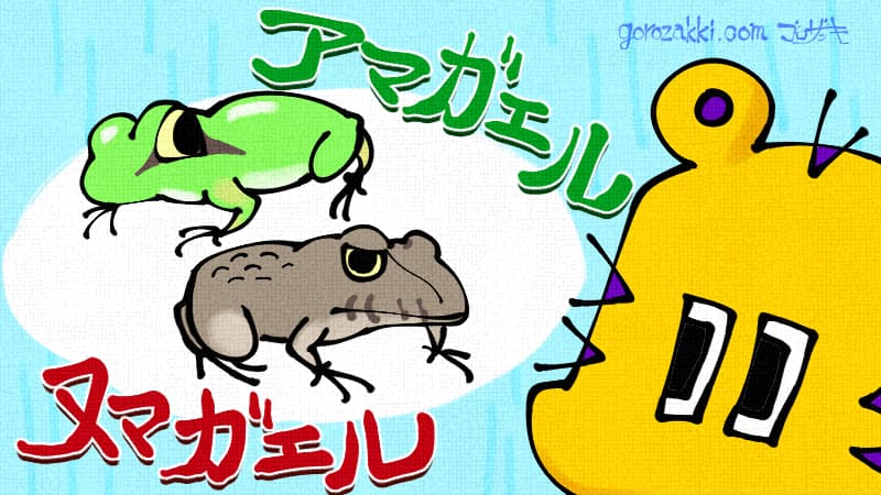 アマガエルとヌマガエルについて
